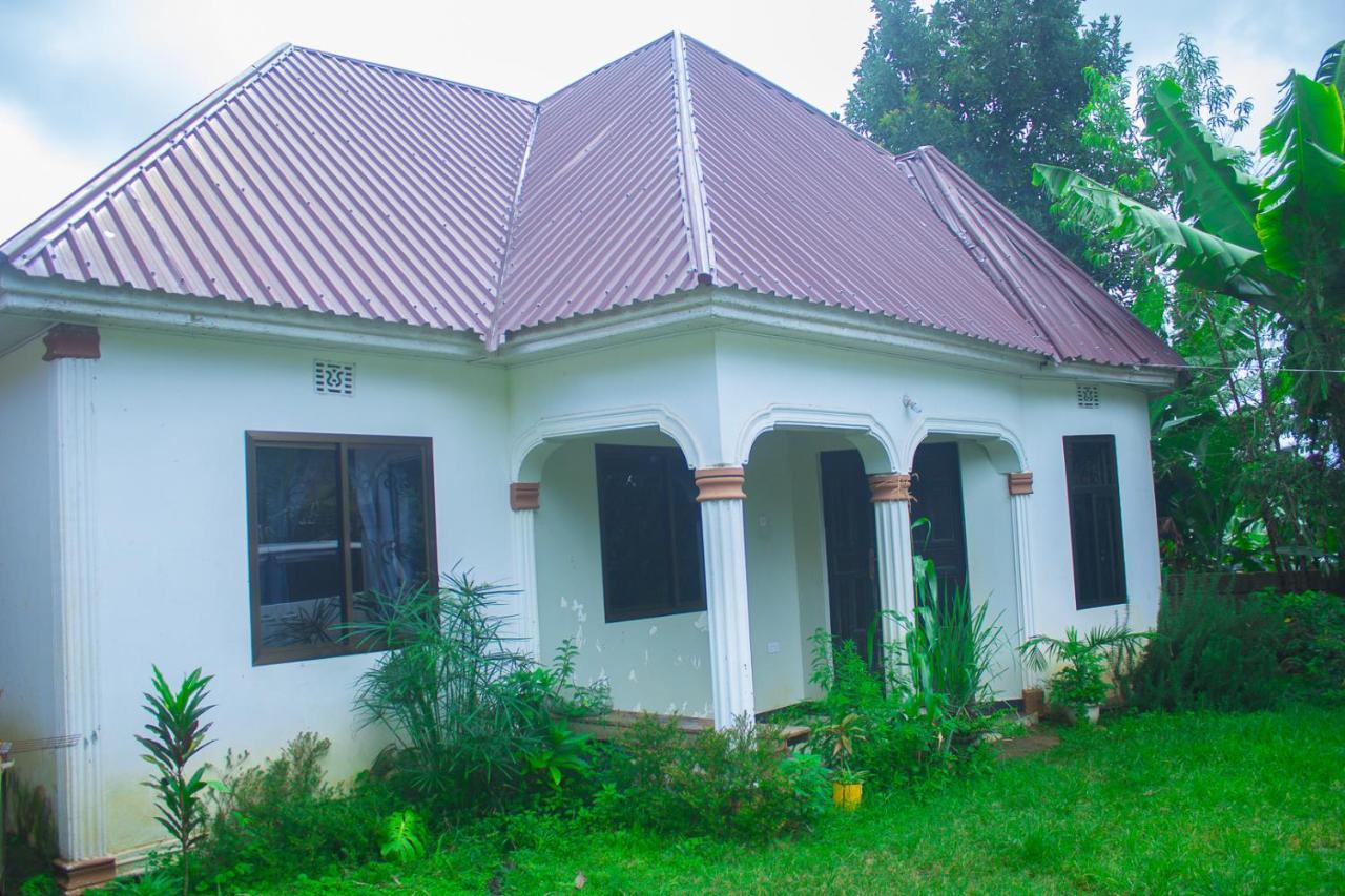 Bed and Breakfast New Dream House Аруша Екстер'єр фото